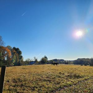 Photo #23 of SOLD property in 2050 Johnson Mill Road, Vernon Hill, VA 97.1 acres