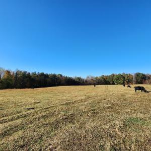 Photo #24 of SOLD property in 2050 Johnson Mill Road, Vernon Hill, VA 97.1 acres