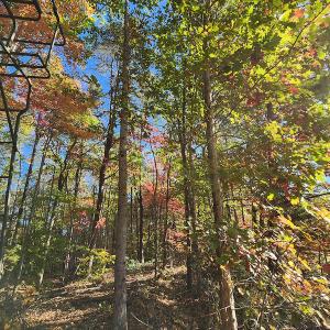 Photo #27 of SOLD property in 2050 Johnson Mill Road, Vernon Hill, VA 97.1 acres