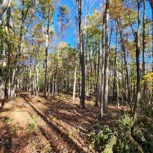 Photo #30 of SOLD property in 2050 Johnson Mill Road, Vernon Hill, VA 97.1 acres