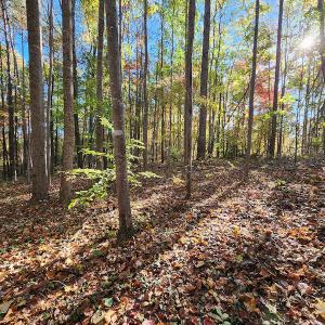 Photo #31 of SOLD property in 2050 Johnson Mill Road, Vernon Hill, VA 97.1 acres