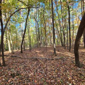 Photo #32 of SOLD property in 2050 Johnson Mill Road, Vernon Hill, VA 97.1 acres