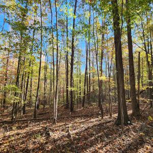 Photo #33 of SOLD property in 2050 Johnson Mill Road, Vernon Hill, VA 97.1 acres