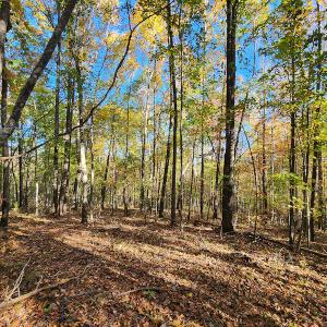Photo #34 of SOLD property in 2050 Johnson Mill Road, Vernon Hill, VA 97.1 acres
