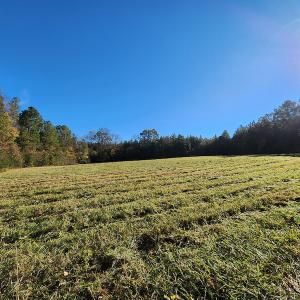 Photo #37 of SOLD property in 2050 Johnson Mill Road, Vernon Hill, VA 97.1 acres
