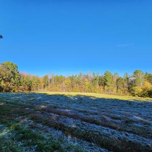 Photo #39 of SOLD property in 2050 Johnson Mill Road, Vernon Hill, VA 97.1 acres