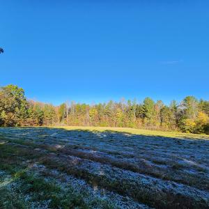 Photo #39 of SOLD property in 2050 Johnson Mill Road, Vernon Hill, VA 97.1 acres