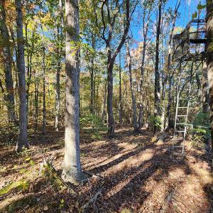 Photo #45 of SOLD property in 2050 Johnson Mill Road, Vernon Hill, VA 97.1 acres