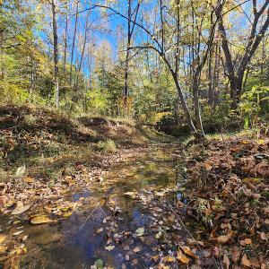 Photo #53 of SOLD property in 2050 Johnson Mill Road, Vernon Hill, VA 97.1 acres