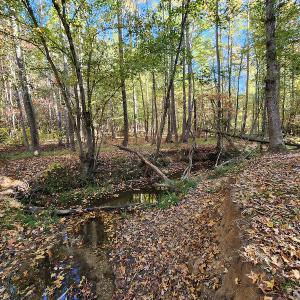 Photo #55 of SOLD property in 2050 Johnson Mill Road, Vernon Hill, VA 97.1 acres