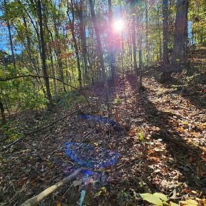 Photo #59 of SOLD property in 2050 Johnson Mill Road, Vernon Hill, VA 97.1 acres