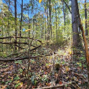 Photo #61 of SOLD property in 2050 Johnson Mill Road, Vernon Hill, VA 97.1 acres