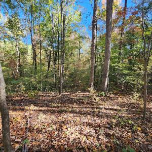 Photo #64 of SOLD property in 2050 Johnson Mill Road, Vernon Hill, VA 97.1 acres