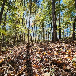 Photo #65 of SOLD property in 2050 Johnson Mill Road, Vernon Hill, VA 97.1 acres