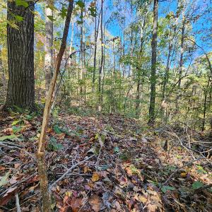 Photo #66 of SOLD property in 2050 Johnson Mill Road, Vernon Hill, VA 97.1 acres