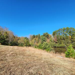 Photo #70 of SOLD property in 2050 Johnson Mill Road, Vernon Hill, VA 97.1 acres