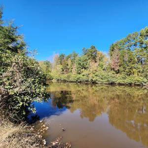 Photo #72 of SOLD property in 2050 Johnson Mill Road, Vernon Hill, VA 97.1 acres