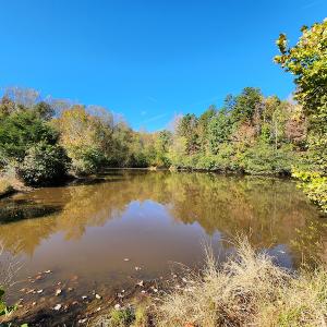 Photo #74 of SOLD property in 2050 Johnson Mill Road, Vernon Hill, VA 97.1 acres