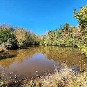 Photo #74 of SOLD property in 2050 Johnson Mill Road, Vernon Hill, VA 97.1 acres