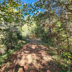 Photo #75 of SOLD property in 2050 Johnson Mill Road, Vernon Hill, VA 97.1 acres