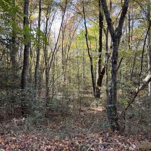 Photo #25 of SOLD property in 626 Manning Road, Valentines, VA 27.5 acres