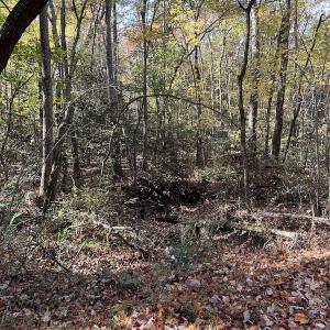 Photo #26 of SOLD property in 626 Manning Road, Valentines, VA 27.5 acres