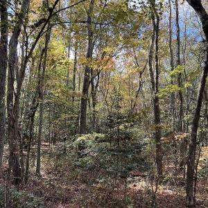 Photo #27 of SOLD property in 626 Manning Road, Valentines, VA 27.5 acres