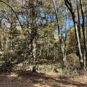 Photo #28 of SOLD property in 626 Manning Road, Valentines, VA 27.5 acres