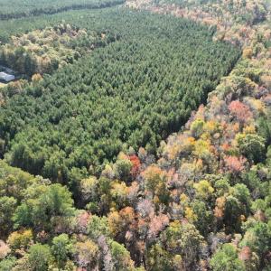 Photo #4 of SOLD property in 626 Manning Road, Valentines, VA 27.5 acres