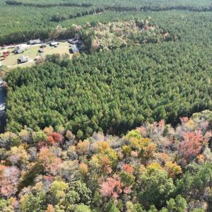 Photo #5 of SOLD property in 626 Manning Road, Valentines, VA 27.5 acres