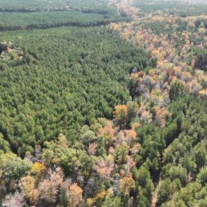 Photo #6 of SOLD property in 626 Manning Road, Valentines, VA 27.5 acres