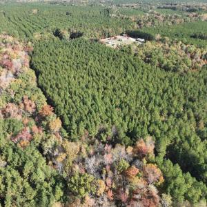 Photo #7 of SOLD property in 626 Manning Road, Valentines, VA 27.5 acres