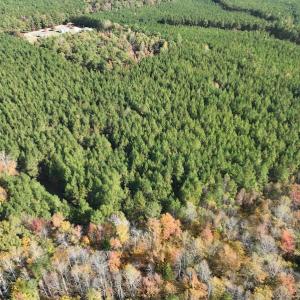Photo #9 of SOLD property in 626 Manning Road, Valentines, VA 27.5 acres
