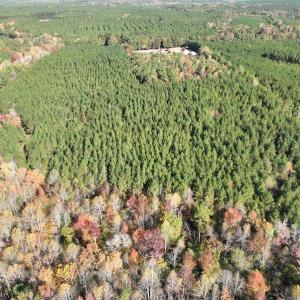 Photo #10 of SOLD property in 626 Manning Road, Valentines, VA 27.5 acres