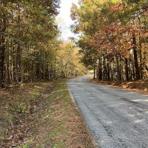 Photo #15 of SOLD property in 626 Manning Road, Valentines, VA 27.5 acres
