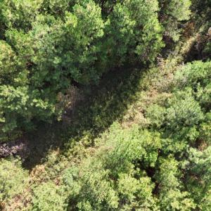 Photo #14 of SOLD property in 626 Manning Road, Valentines, VA 27.5 acres
