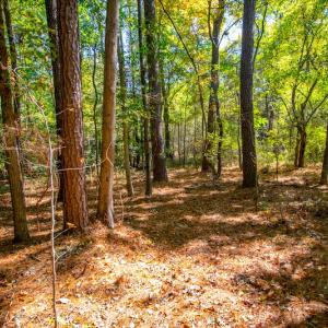 Photo #12 of SOLD property in Off Blanks Lane, Emporia, VA 20.2 acres