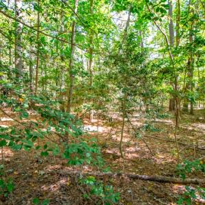 Photo #13 of SOLD property in Off Blanks Lane, Emporia, VA 20.2 acres