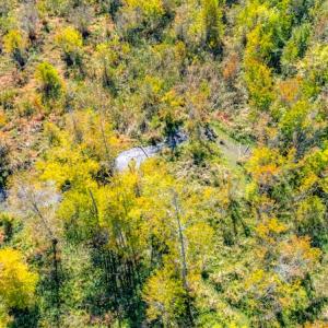 Photo #14 of SOLD property in Off Blanks Lane, Emporia, VA 20.2 acres
