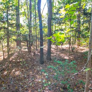 Photo #16 of SOLD property in Off Blanks Lane, Emporia, VA 20.2 acres