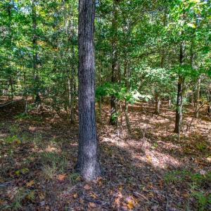 Photo #9 of SOLD property in Off Blanks Lane, Emporia, VA 20.2 acres