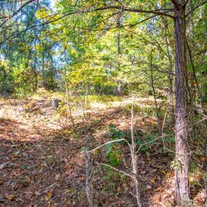 Photo #10 of SOLD property in Off Blanks Lane, Emporia, VA 20.2 acres
