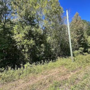 Photo #11 of SOLD property in Off Simms Bridge Road, Kittrell, NC 2.4 acres