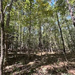 Photo #17 of SOLD property in Off Simms Bridge Road, Kittrell, NC 2.4 acres