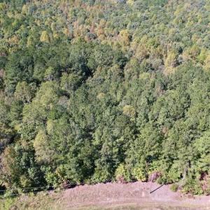 Photo #3 of SOLD property in Off Simms Bridge Road, Kittrell, NC 2.4 acres