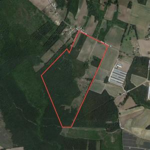 Photo #1 of SOLD property in 755 Racetrack Road, Nichols, SC 125.0 acres