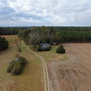 Photo #6 of SOLD property in 755 Racetrack Road, Nichols, SC 125.0 acres
