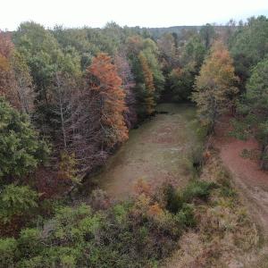 Photo #9 of SOLD property in 755 Racetrack Road, Nichols, SC 125.0 acres