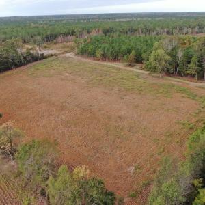 Photo #3 of SOLD property in 755 Racetrack Road, Nichols, SC 125.0 acres