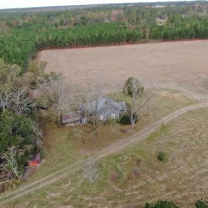 Photo #8 of SOLD property in 755 Racetrack Road, Nichols, SC 125.0 acres